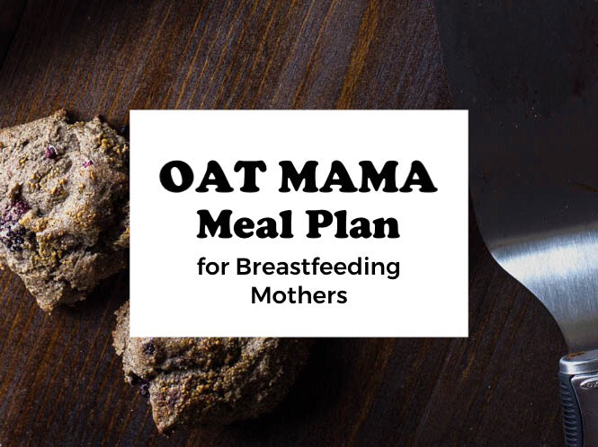 Oat Mama Meal Plan for Breastfeeding Mothers #9
