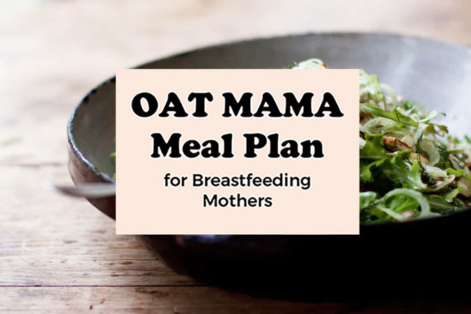 Oat Mama Meal Plan for Breasfeeding Mothers #4