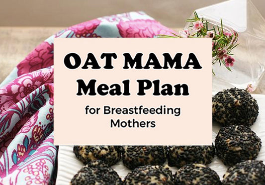 Oat Mama Meal Plan for Breastfeeding Mothers #5