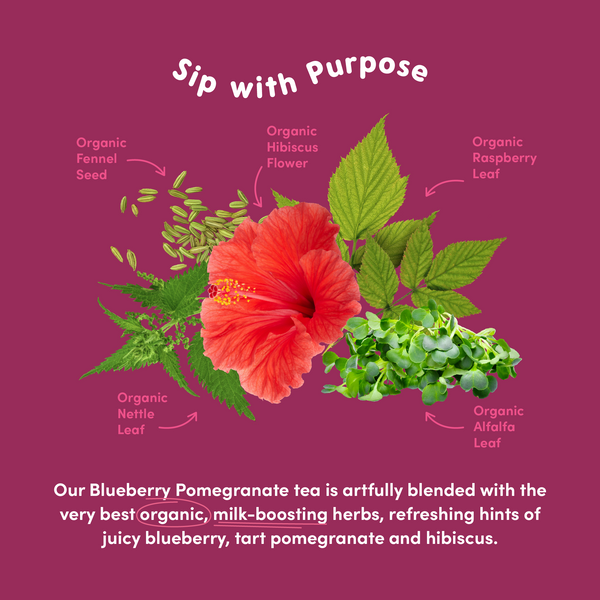Blueberry Pomegranate Lactation Tea